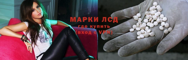 хмурый Зеленокумск