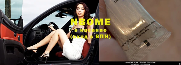 хмурый Зеленокумск
