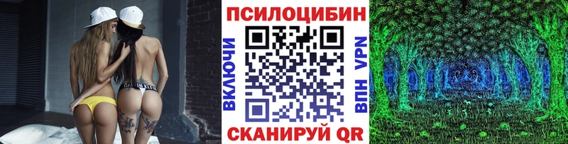 Псилоцибиновые грибы Psilocybe  Зея 
